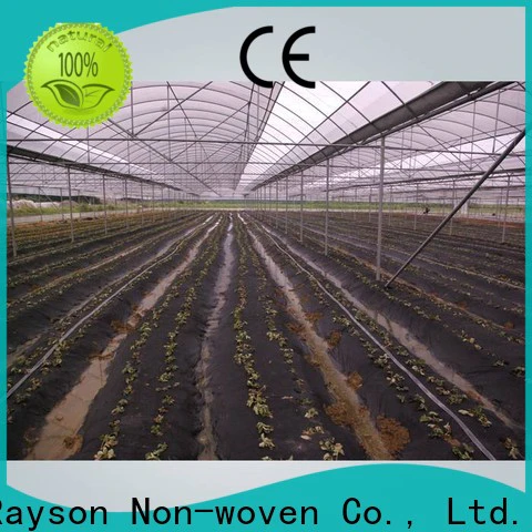 rayson nonwoven,ruixin,enviro quality vegetable garden fabric series for greenhouse