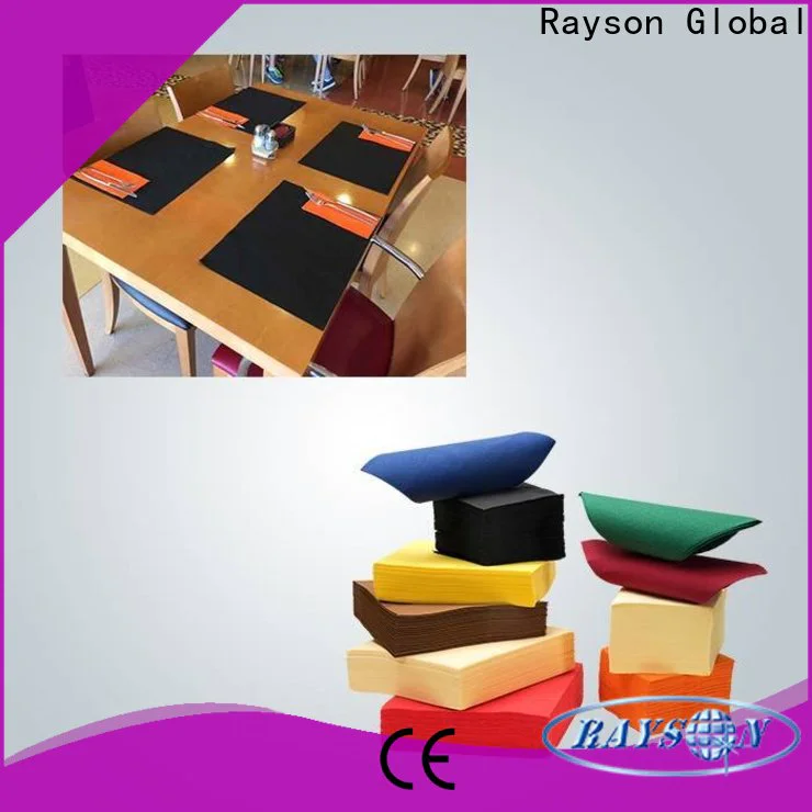rayson nonwoven fancy non woven polypropylene fabric factory for indoor