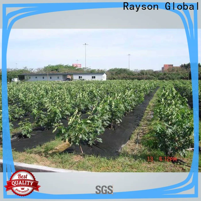 rayson nonwoven covers vegetable garden fabric company for greenhouse