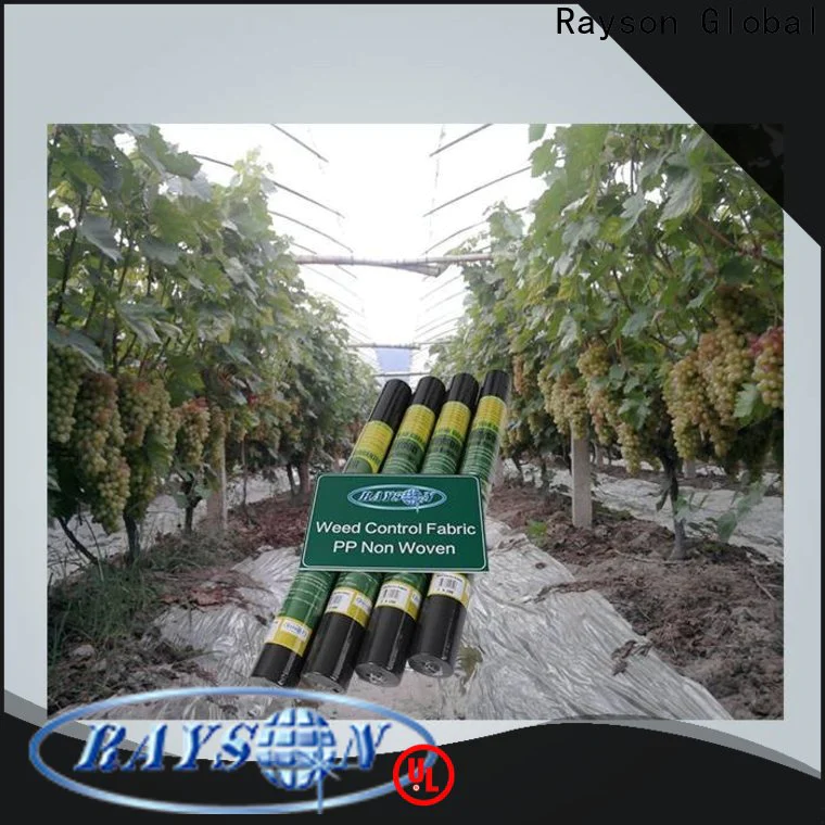rayson nonwoven Rayson weed barrier fabric for vegetable garden company for outdoor