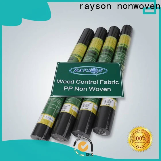 rayson nonwoven product hydrophilic non woven price for shops