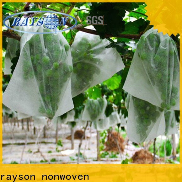 rayson nonwoven ODM biodegradable garden fabric supplier for indoor