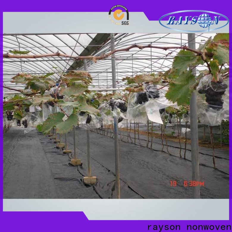 rayson nonwoven Custom spun bonded polyester landscape fabric in bulk for outdoor