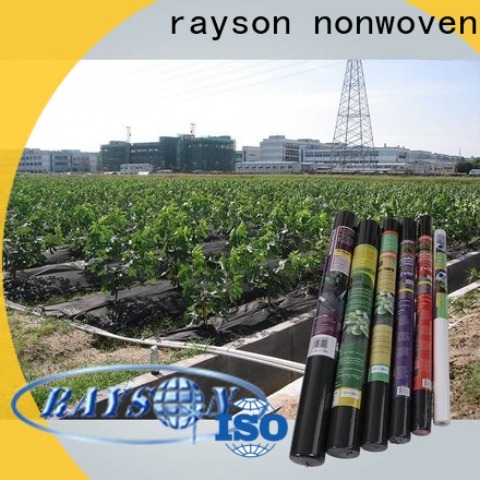rayson nonwoven Bulk buy securing landscape fabric manufacturer for outdoor