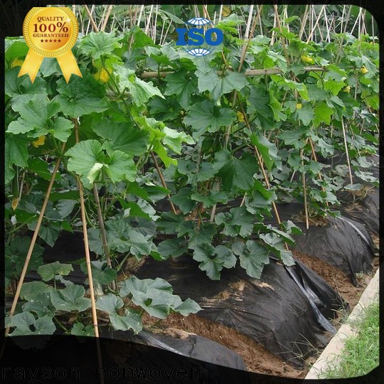 rayson nonwoven horticultural garden fabric to prevent weeds supplier for outdoor