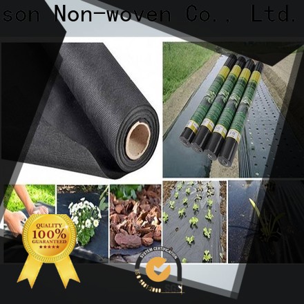 rayson nonwoven by landscape fabric stakes price for shops