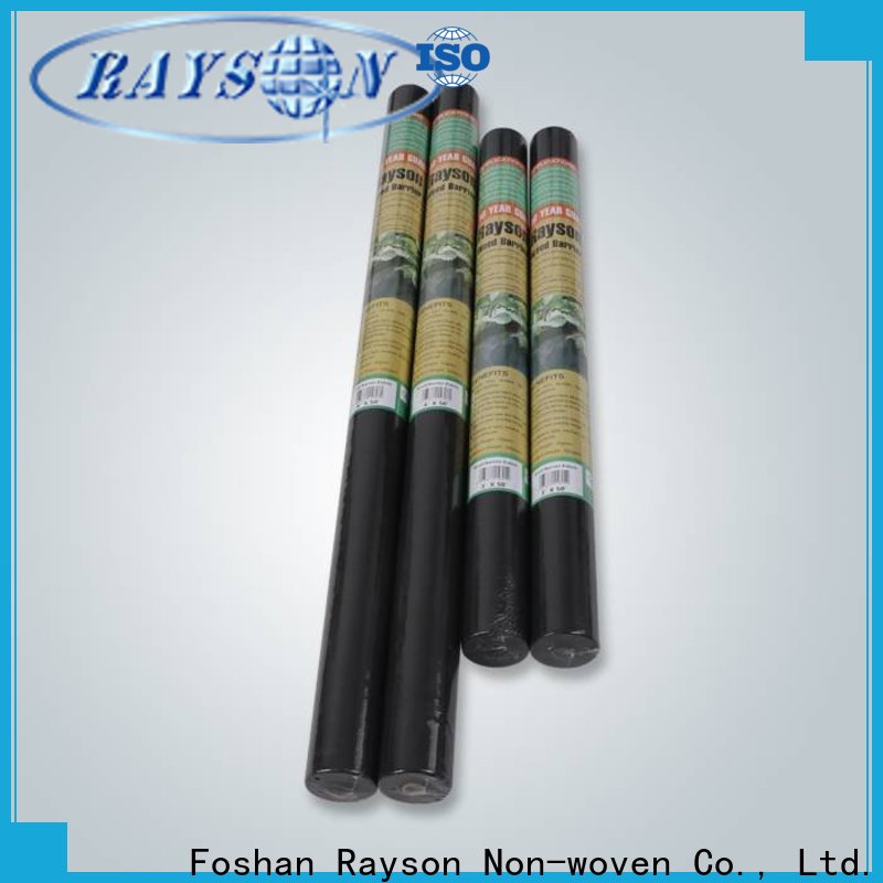 rayson nonwoven OEM landscape fabric price manufacturer for clothing