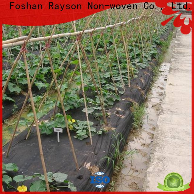 Rayson weed barrier fabric for vegetable garden brrier supplier for covering
