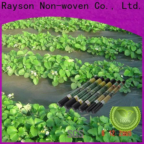 rayson nonwoven mulching haji non woven fabric factory for clothing