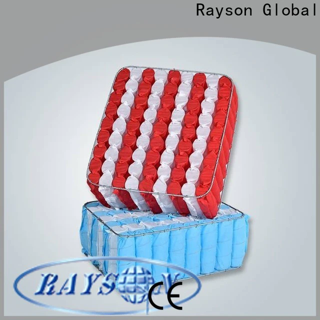 rayson nonwoven kain polypropylene spunbond factory