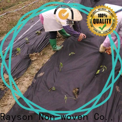 rayson nonwoven Bulk purchase ODM landscape fabric under rock price