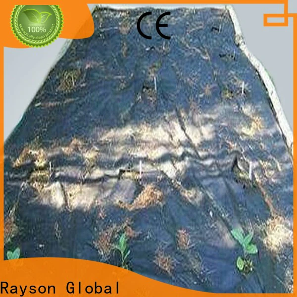 rayson nonwoven Rayson Bulk buy ODM natural landscape fabric manufacturer