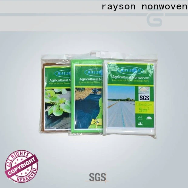 rayson nonwoven Rayson Bulk purchase high quality axon non woven factory