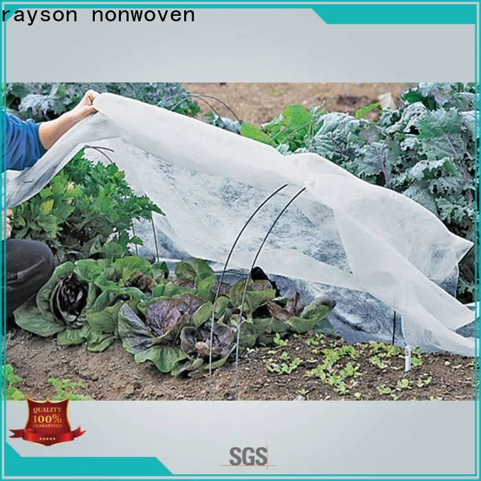 Rayson Bulk buy best green weed control fabric price