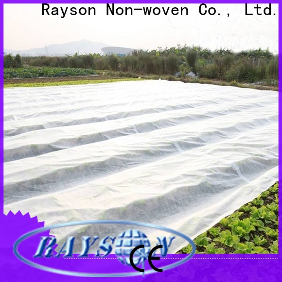 rayson nonwoven landscape fabric suppliers manufacturer