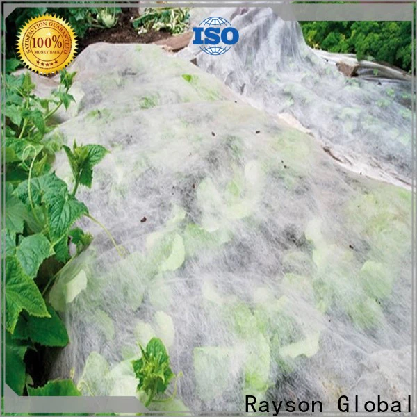 Rayson Wholesale OEM permeable weed control fabric factory