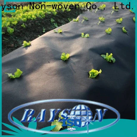 Rayson high quality typar landscape fabric price