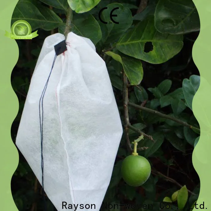 rayson nonwoven non woven interlining fabric manufacturer