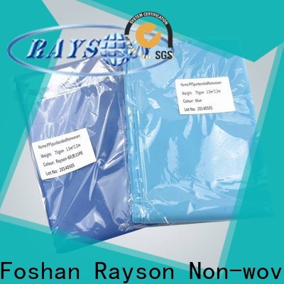 Rayson Nonwoven Custom ODM No tejido Desechable Hoja de cama Desechable Empresa