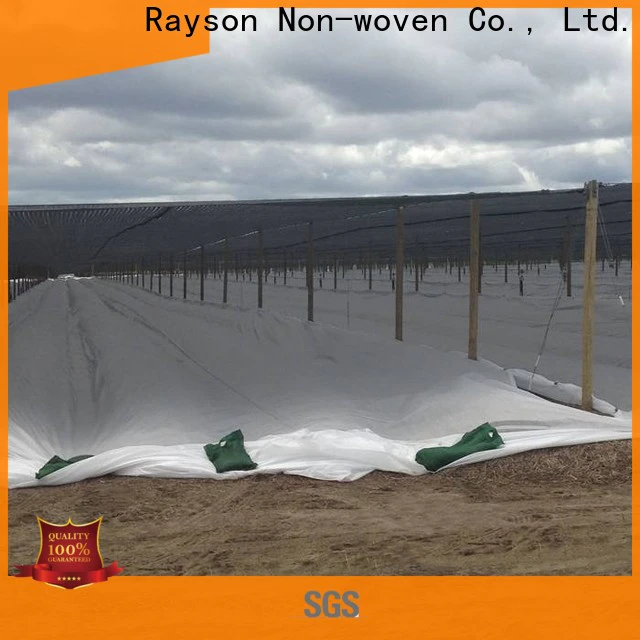 rayson nonwoven permeable landscape fabric factory