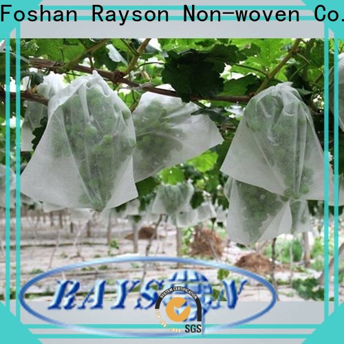 Rayson Wholesale ODM non woven plant supplier