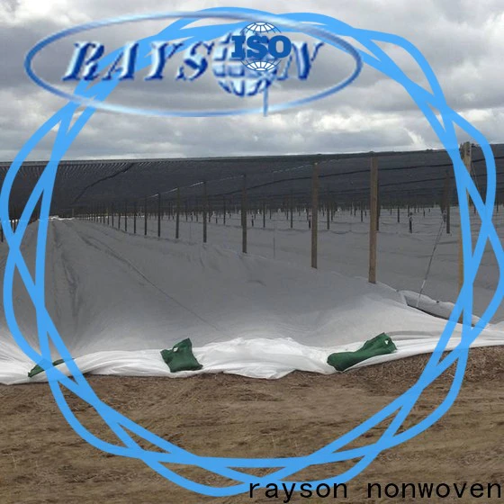 rayson nonwoven the best landscape fabric manufacturer