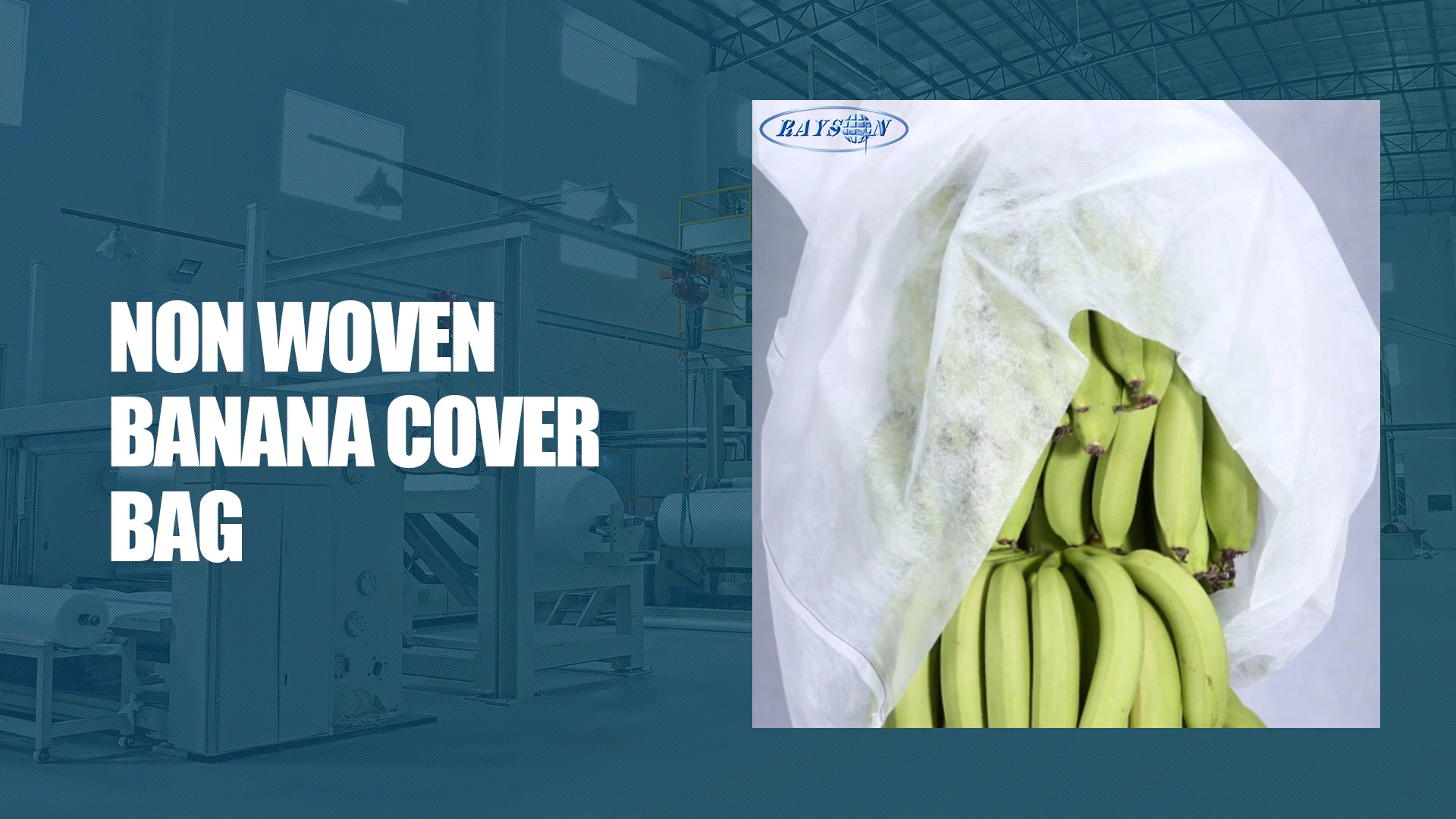 Non Woven Banana Cover Bag