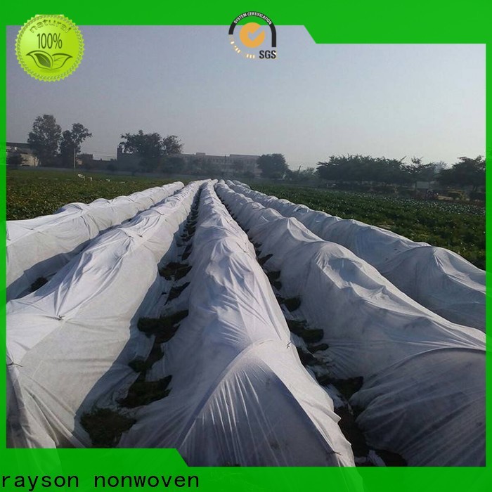 Rayson Nonwoven Rayson Tissu de paysage de haute qualité personnalisé pour les mauvaises herbes Price