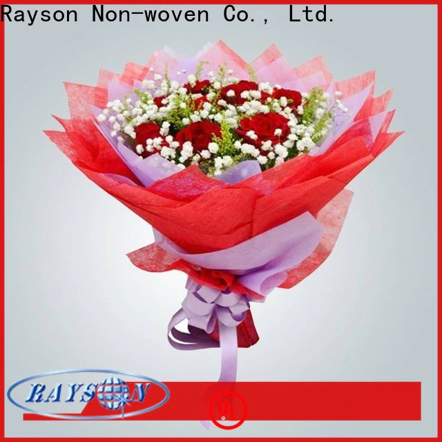 rayson nonwoven Custom OEM nonwoven polypropylene roll supplier