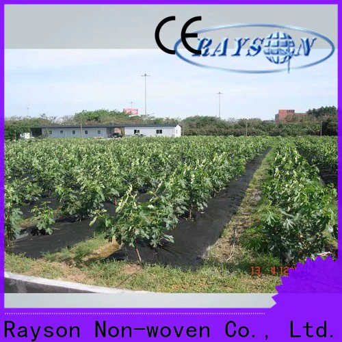 rayson nonwoven garden fabric cover company