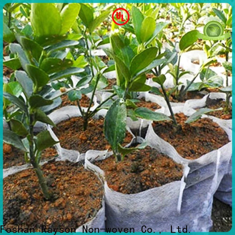 Rayson Bulk purchase ODM woven weed control fabric price