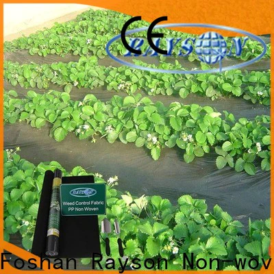 rayson nonwoven garden weed fabric price