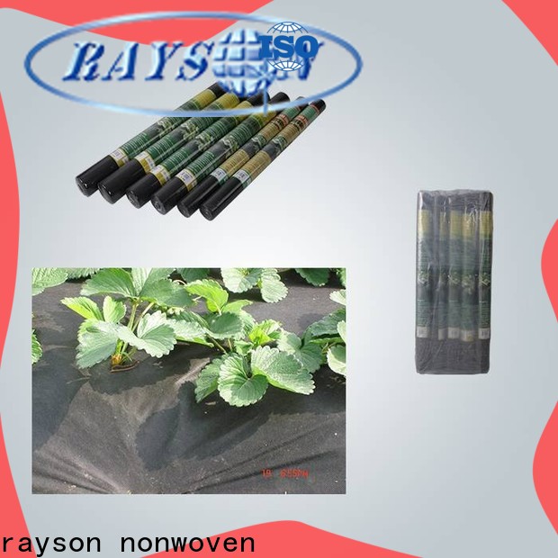 rayson nonwoven landscape fabric drainage supplier
