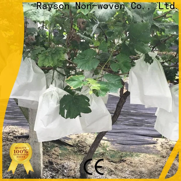 rayson nonwoven lowes burlap plant cover manufacturer
