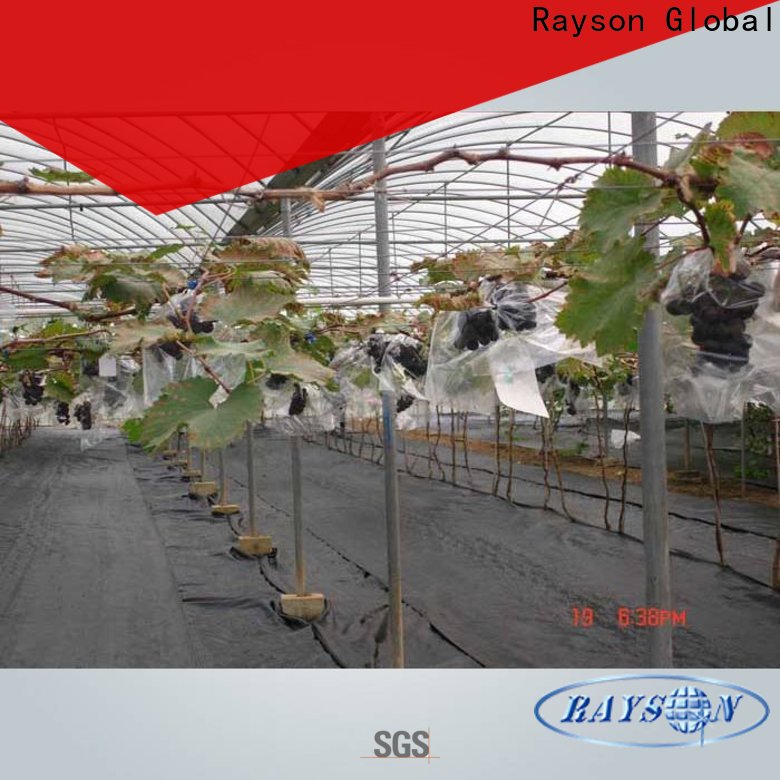 Rayson Custom best weed control ground cover membrane manufacturer