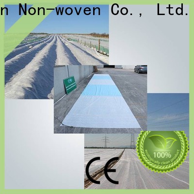 rayson nonwoven ODM high quality nonwoven agfabric floating row cover company