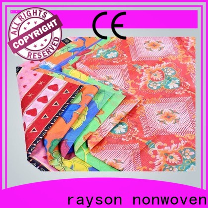 Rayson Custom ODM 6 oz nonwoven geotextile fabric factory