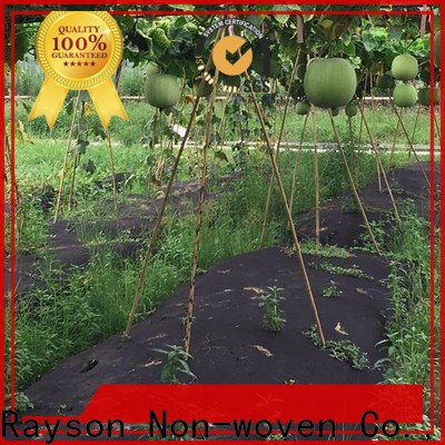 rayson nonwoven Rayson ODM black weed control membrane price