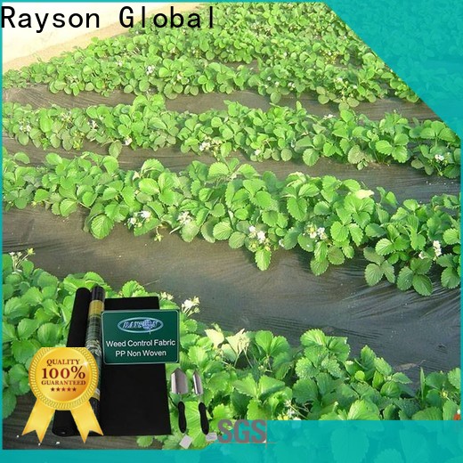 rayson nonwoven landscape weed prevention membrane factory