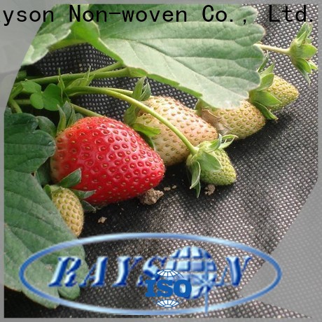 Rayson ODM best weed control fabric roll in bulk