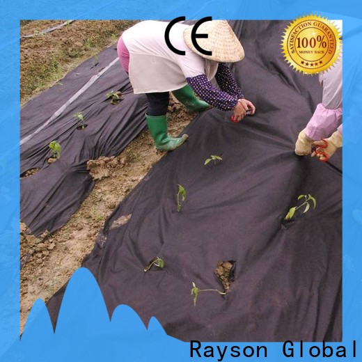 rayson nonwoven Rayson Wholesale high quality garden weed control fabric membrane factory
