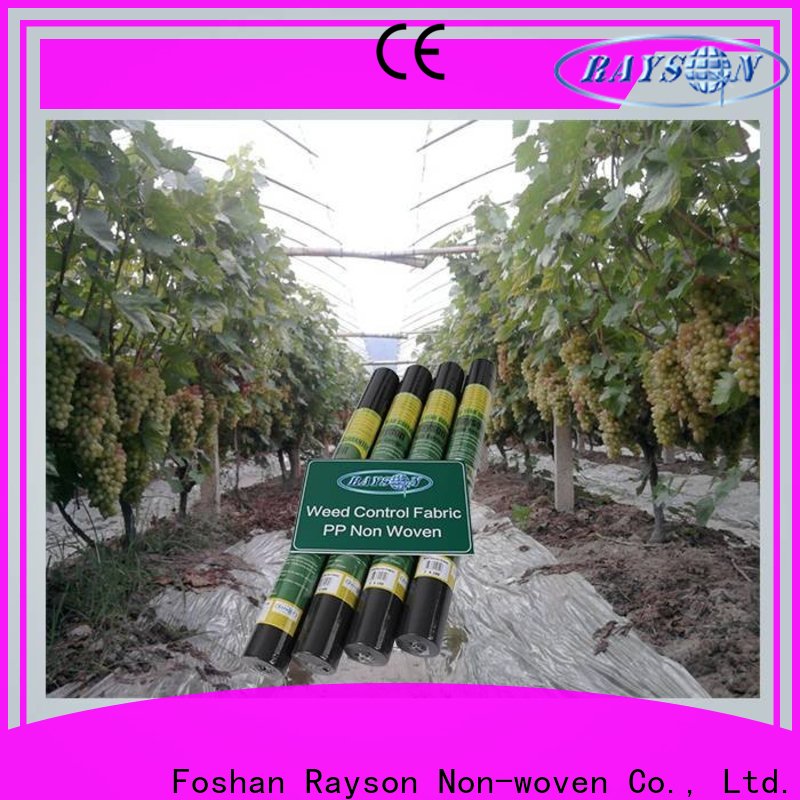 rayson nonwoven Rayson nonwoven best landscaping weed barrier supplier
