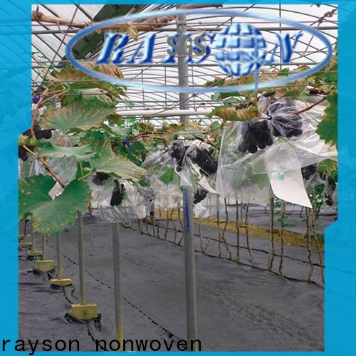 rayson nonwoven ODM best weed control fabric for under turf factory
