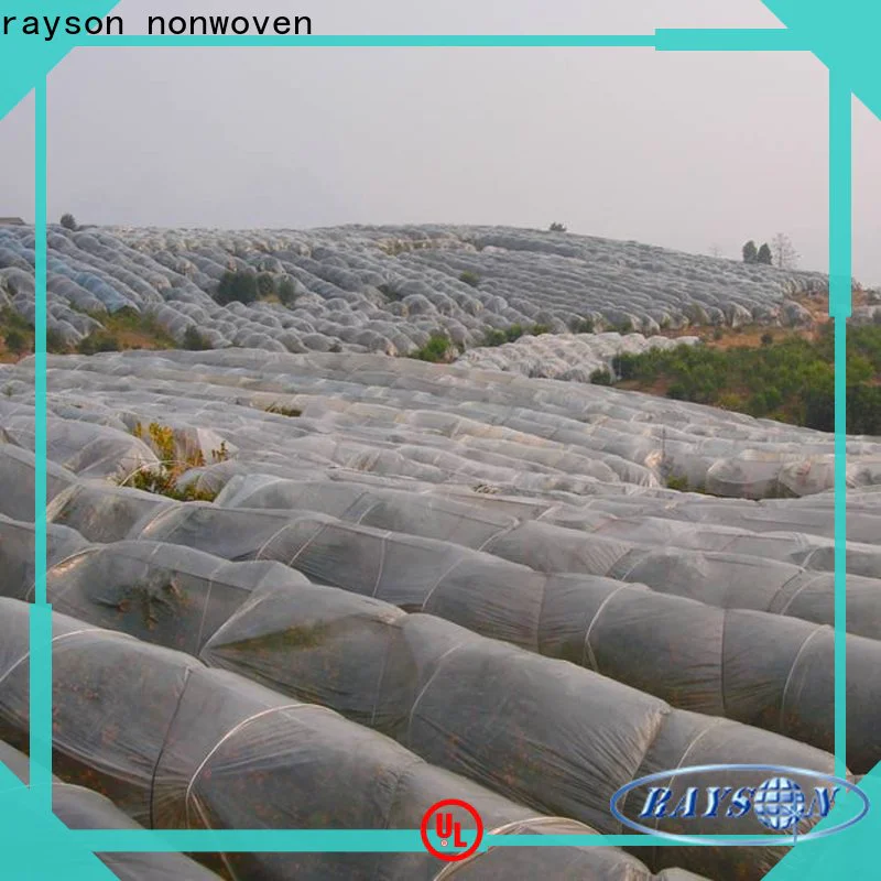 rayson nonwoven Custom nonwoven polypropylene ground cover company