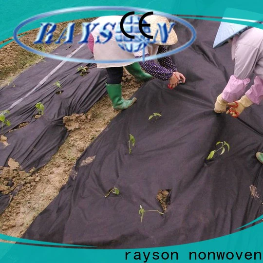 rayson nonwoven Rayson OEM nonwoven weed block fabric for vegetable gardens in bulk