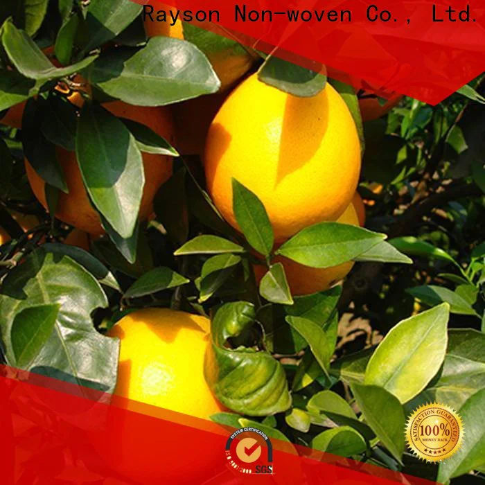 rayson nonwoven Rayson custom nonwoven ground weed control fabric supplier