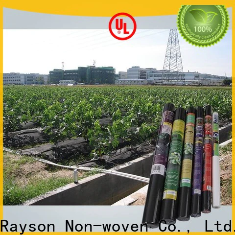 Rayson ODM nonwoven 100gsm weed membrane supplier