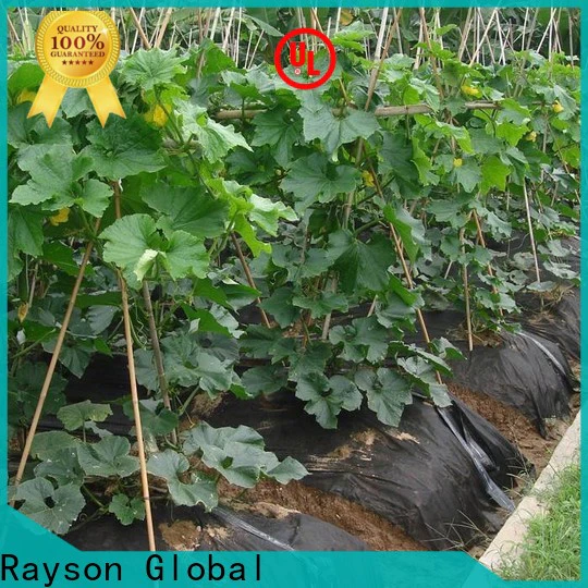 Rayson Bulk buy custom black weed barrier cloth factory