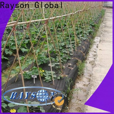 rayson nonwoven weed control fleece supplier