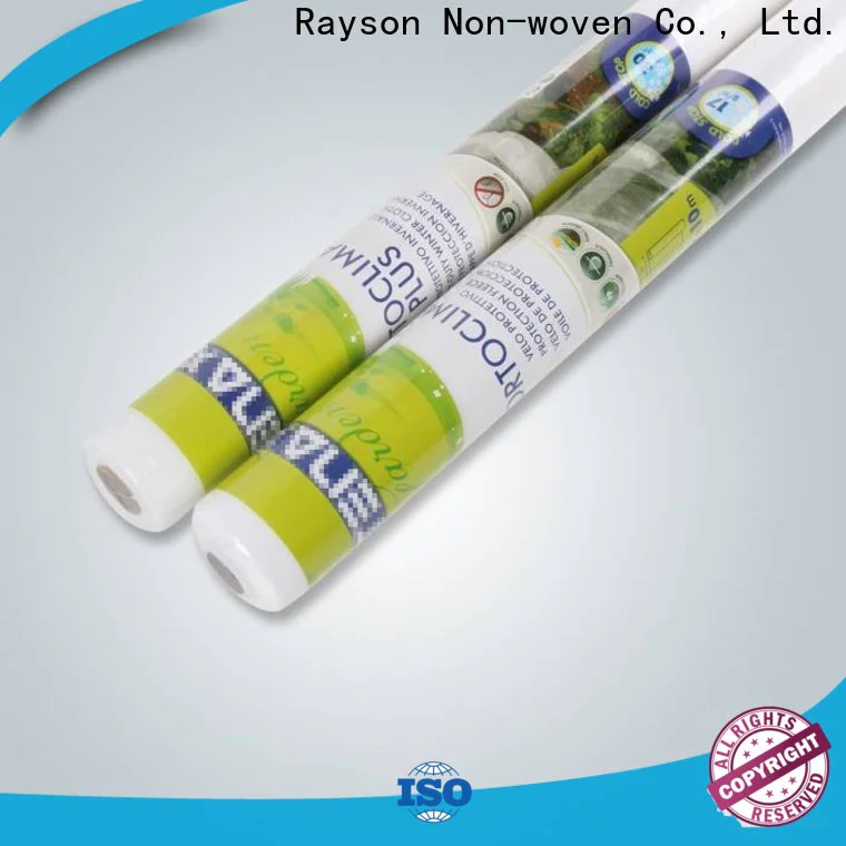 Rayson Bulk purchase best best weed barrier for flower bed company